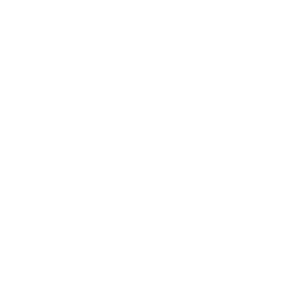 TikTokアイコン